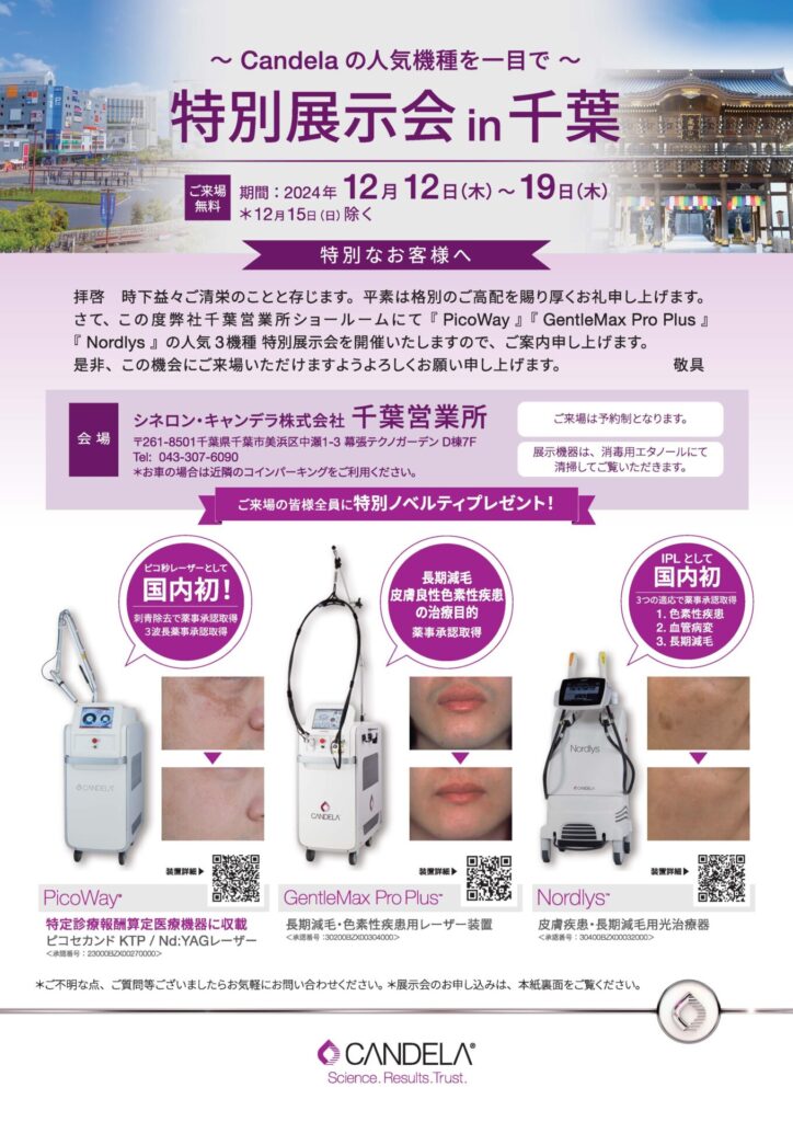 シネロンキャンデラ千葉展示会12月チラシ