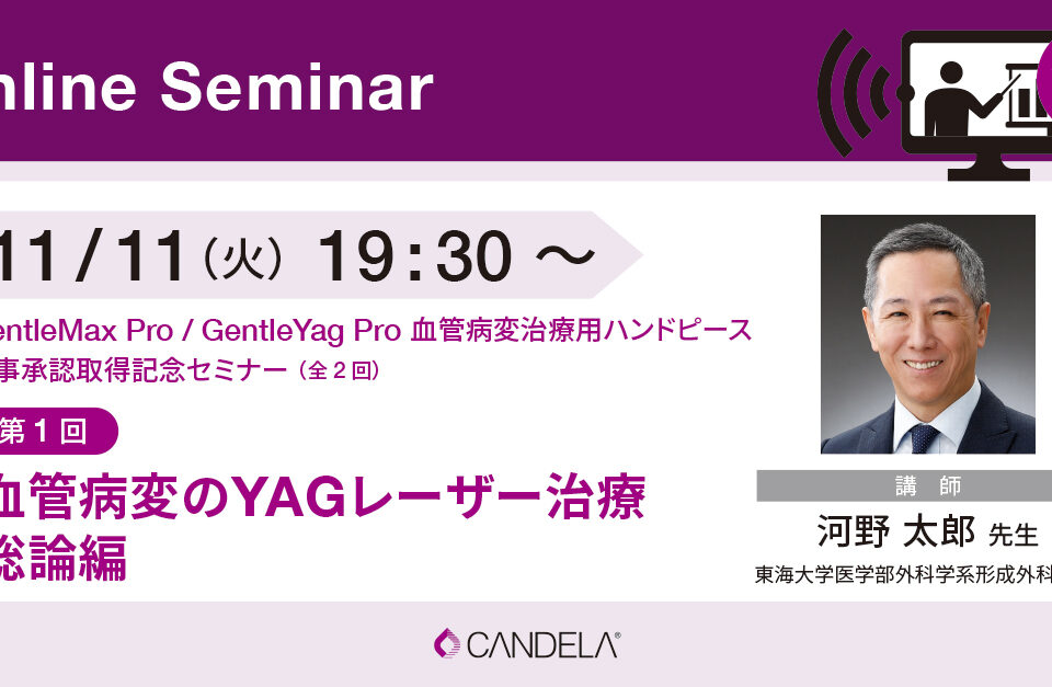 Web_banner_OnlineSeminar_November2025_1111