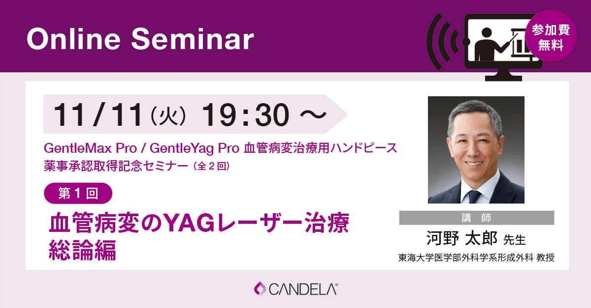 Web_banner_OnlineSeminar_November2025_1111