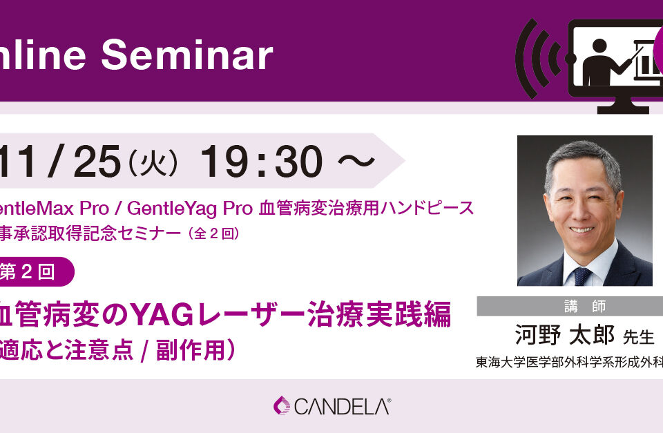 Web_banner_OnlineSeminar_November2025_1125