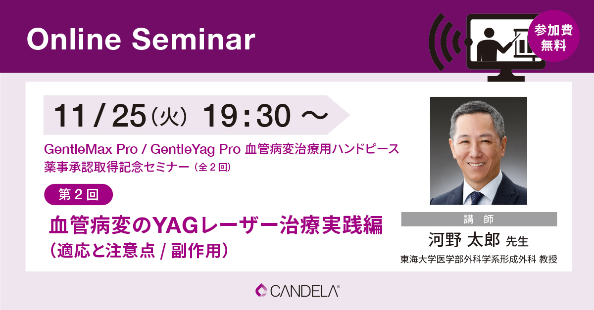 Web_banner_OnlineSeminar_November2025_1125